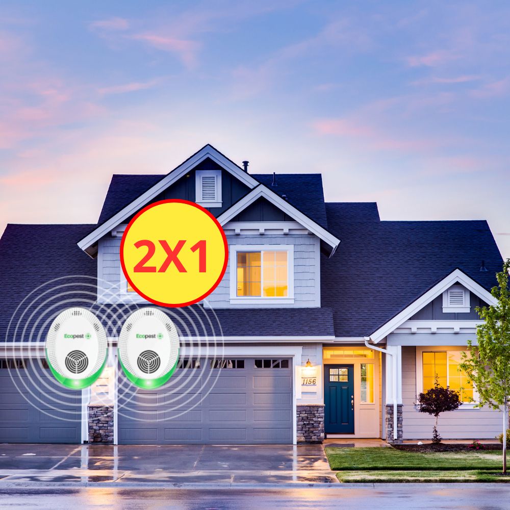 EcoPest Italia Sito Ufficiale 